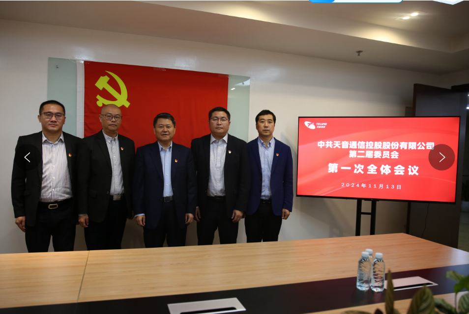 17316399997319355512